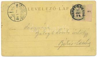 1904 Boksánbánya, Németbogsán, Deutsch-Bogsan, Bocsa Montana; Theilansicht, Katholische Kirche / lát...