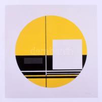 Konstruktív, Konkrét. Nemzetközi művészet a Vass-gyűjteményben. Szerk.: Gosztonyi Ferenc. Bp., 2014,...