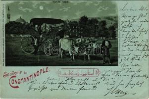 1899 Constantinople, Istanbul; Souvenir de Constantinople. Voiture Turque / Turkish folklore, ox cart (Araba), carriage at night in moonlight. Emil Pinkau &amp; Cie. Art Nouveau, litho (EK)