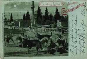 1899 Constantinople, Istanbul; Souvenir de Constantinople. Chiens de Rue / Turkish folklore, stray dogs at night in moonlight. Emil Pinkau &amp; Cie. Art Nouveau, litho (EK)