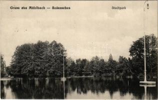 1917 Szászsebes, Mühlbach, Sebesul Sasesc, Sebes; Stadtpark / Városliget. Johann Rilki kiadása / park
