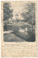 1905 Szászsebes, Mühlbach, Sebesul Sasesc, Sebes; Városi-liget. Adolf Weissörtel és Tsa kiadása / park (EK)