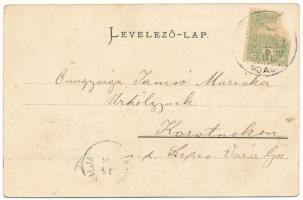 1905 Szászsebes, Mühlbach, Sebesul Sasesc, Sebes; Városi-liget. Adolf Weissörtel és Tsa kiadása / pa...