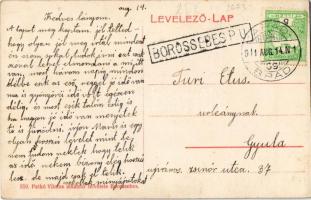 1911 Menyháza, Monyásza, Moneasa; Cs.E.V. nyaraló, villa. Patkó Vilmos amateur felvétele (Borossebes...