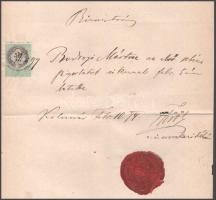 1874 Kolozsvár, a Magyar Királyi Kolozsvári Tudományegyetem (alapítva: 1872) orvostudományi karának ...