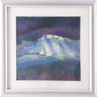 Hansági Hédi (-): Op. 225/2007 (cím nélkül). Pasztell, papír, jelezve jobbra lent, üvegezett fakeret...