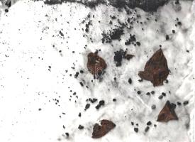 Exposition "10 Ans de recherche". [A Brüsszelben "10 Ans de recherche" címmel me...