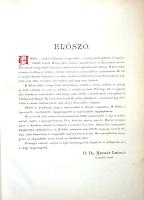 Képes Szent Biblia, azaz Istennek Ó- és Új-Testamentomában foglaltatott egész Szent Írás. Magyar nye...