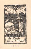 Die Geschichte von den Leuten aus dem Lachswassertal. Übertragen von Rudolf Meissner. Mit zwei Beila...