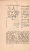 Greguss Pál:
Az állatok és növények életmódja. Természetrajz. Polgári leányiskolák II. osztálya szá...
