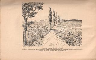 Greguss Pál:
Az állatok és növények életmódja. Természetrajz. Polgári leányiskolák II. osztálya szá...