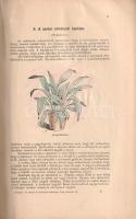 Greguss Pál:
Az állatok és növények életmódja. Természetrajz. Polgári leányiskolák II. osztálya szá...