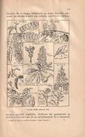 Greguss Pál:
Az állatok és növények életmódja. Természetrajz. Polgári leányiskolák II. osztálya szá...