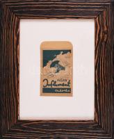 cca 1930 Puljer Influment cukorka köhögés és rekedtség ellen, art deco cukorkás zacskó dekoratív üvegezett keretben, 30x25 cm