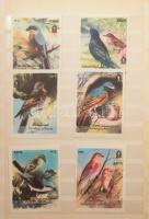 Gyufacímke-gyűjtemény, kb. 1400 db, magyar gyufacímke, berakóban