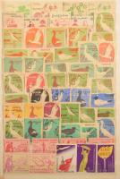 Gyufacímke-gyűjtemény, kb. 1400 db, magyar gyufacímke, berakóban