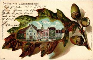 1904 Zweibrücken, Hauptstrasse, Conditorei. Kunstanstalt Rosenblatt / montage with acorns, main street, confectionary. Emb. litho (Rb)