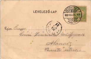 1902 Kecskemét, Piactér, Városháza, templom, gyógyszertár, Bóka Zsigmond, Rosenfeld, Pollak Lajos, S...