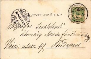 1902 Balatonföldvár, Bendegúz szálloda, Zrínyi szálloda. Klösz György kiadása. Art Nouveau, floral (...