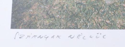 Szörtsey Gábor (1951-2004): Szárnyak nélkül, 2002. Ofszet, papír, jelzett, 8/15 számozással. 26x35 c...