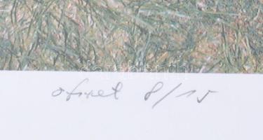 Szörtsey Gábor (1951-2004): Szárnyak nélkül, 2002. Ofszet, papír, jelzett, 8/15 számozással. 26x35 c...