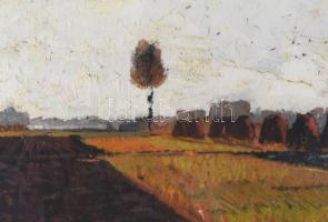 Mokos József (1892-1972): Csabai táj (Békéscsaba), 1949. Olaj, farost. Jelzett. Hátoldalán autográf ...