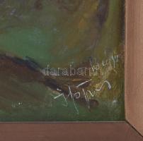 Ivan Brovdi (1939-2023): Kárpátaljai falu asszonyokkal. Olaj, farost, jelzett. Fakeretben, 24,5×30,5...