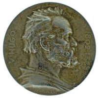Franciaország 1902. "V. Hugo 1802-1885 / Souvenir du Centenaire - 26 Fevrier 1802-1902" peremén jelzett Ag emlékérem Victor Hugo születésének 100. évfordulója alkalmából. Szign.: J.C. Chaplain (16,30g/32mm) T:XF patina France 1902. "V. Hugo 1802-1885 / Souvenir du Centenaire - 26 Fevrier 1802-1902" Ag commemorative medal, marked on the edge, on the occasion of the 100th anniversary of the birth of Victor Hugo. Signed: J.C. Chaplain (16,30g/32mm) C:XF patina