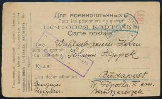 1917 Tábori posta levelezőlap hadifogolytáborból küldve