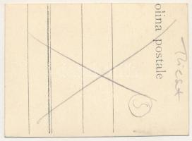 Trieste, Trst, Trieszt; hidroplán hangár, kisméretű fotó / hydroplanes, port. photo (8,3 x 6 cm) (vá...