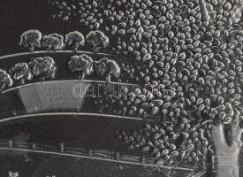 Vidéki tájat ábrázoló préselt süteménykínáló, hibátlan, 27x42 cm