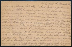 1916 Tábori posta levelezőlap turkesztáni hadifogolytáborból küldve