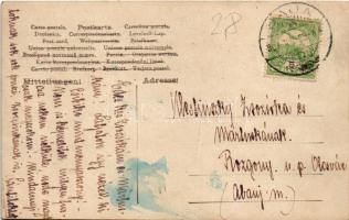 1907 Baja, esküvői fotó násznéppel. photo (kopott élek / worn edges)