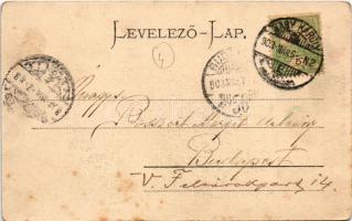 1903 Nagykároly, Carei; Gróf Károlyi kastély. Csókás László kiadása / castle (fl)