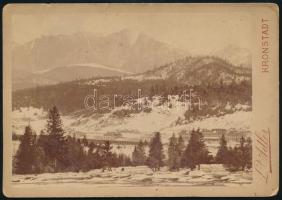 cca 1890 Brassó, Predeal állomás, keményhátú fotó Adler brassói műterméből, 10,5×16,5 cm