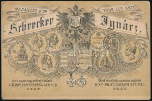 cca 1860-1870 Hölgy egészalakos portréja, keményhátú fotó Schrecker Ignác pesti műterméből, kis sérü...