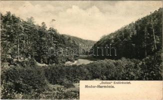 1911 Modor-Harmónia, Modern-Harmonie, Modra; Dolina erdőrészlet. Levius S.P. kiadása / forest