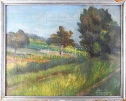 Olvashatatlan jelzéssel: Zöldellő táj, 1940. Pasztell, papír. Üvegezett, sérült fakeretben. 48x61 cm.