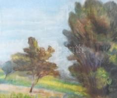 Olvashatatlan jelzéssel: Zöldellő táj, 1940. Pasztell, papír. Üvegezett, sérült fakeretben. 48x61 cm