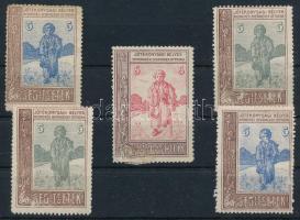1905 Segítsetek! 5 db klf színű jótékonysági bélyeg