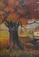 Decsy Etelka (XX. sz. első fele): Vízimalom. Olaj, vászon, jelezve jobbra lent. Kissé sérült. Dekora...