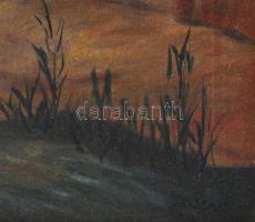 Decsy Etelka (XX. sz. első fele): Vízimalom. Olaj, vászon, jelezve jobbra lent. Kissé sérült. Dekora...