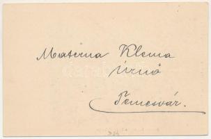 Temesvár, Timisoara; Korona herceg szálloda télikertje, étterem belső vendégekkel és pincérekkel. Ve...