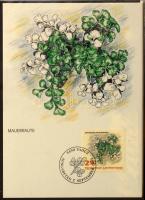 Liechtenstein FDC és CM tétel az 1970-es, 1990-es évekből, 3 db FDC berakóban, dobozban