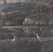 Jelzés nélkül: Gólyák. Olaj, vászon. 17x23 cm. Dekoratív, üvegezett, sérült fakeretben