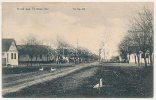 1909 Temesújfalu, Temesvár-Újfalu, Neudorf; Kereszt út kacsákkal / Kreuzgasse / street with ducks (EK)
