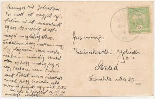 1909 Temesújfalu, Temesvár-Újfalu, Neudorf; Kereszt út kacsákkal / Kreuzgasse / street with ducks (E...