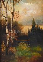 Olvashatatlan jelzéssel: Táj. Olaj, karton. 34,5x24,5 cm. Dekoratív, sérült fakeretben.