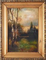Olvashatatlan jelzéssel: Táj. Olaj, karton. 34,5x24,5 cm. Dekoratív, sérült fakeretben