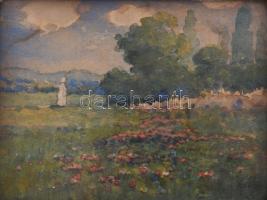 Szentpály jelzéssel: Virágos réten. Akvarell, papír. Dekoratív, üvegezett fakeretben. 11,5x14,5 cm.